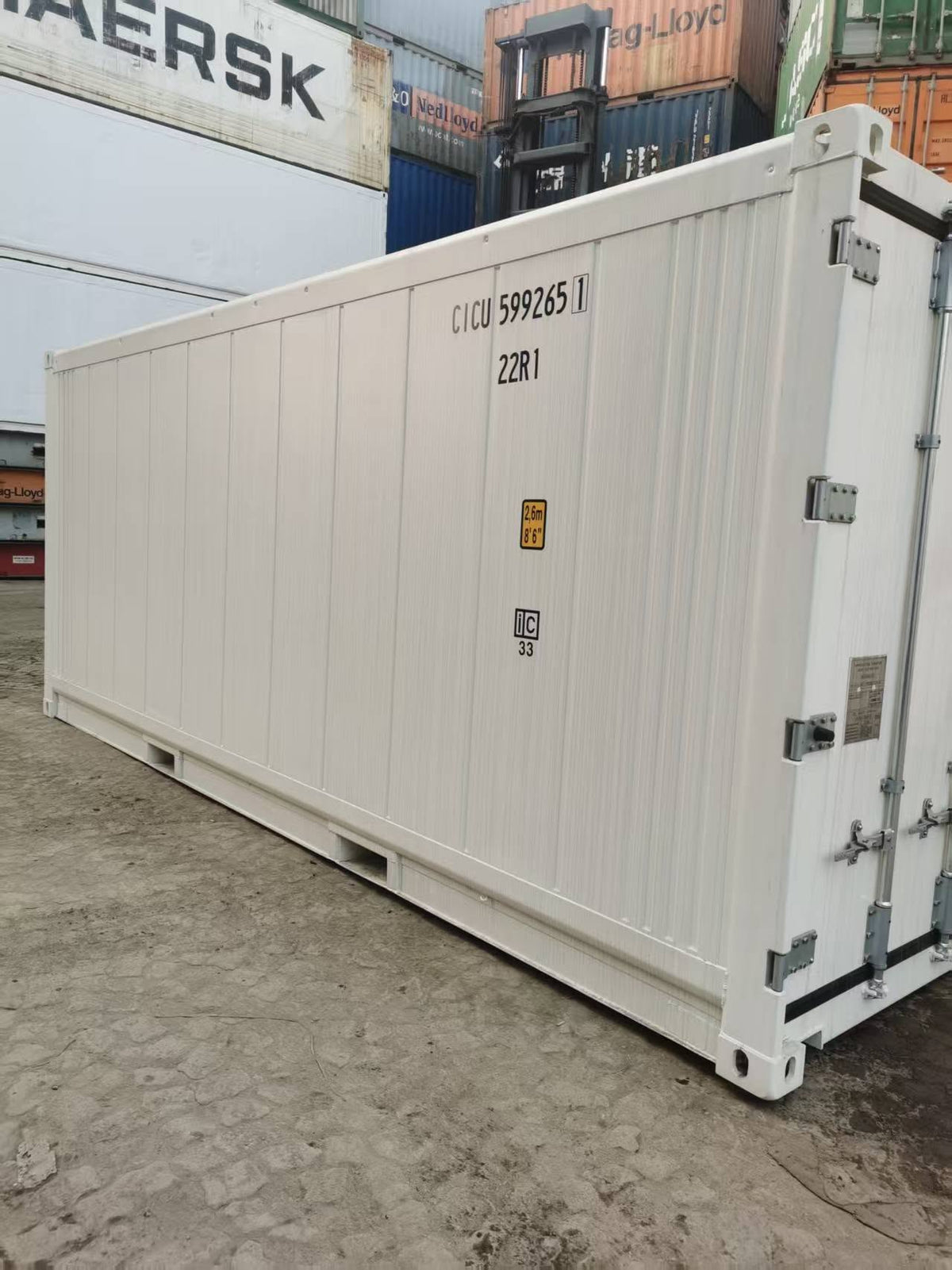 6m/20ft Refrigerated Shipping Container