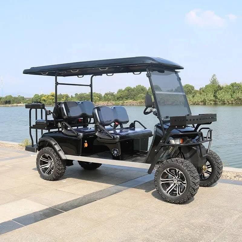 5000W Custom 6-Passenger Hotel & Off-Road Golf Cart - Image 2