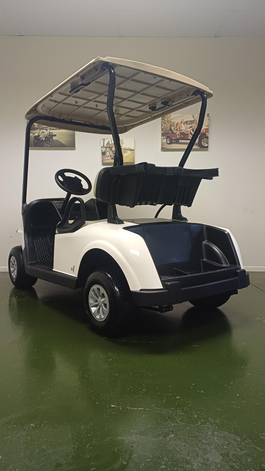 Demo RXV Fleet 2-Seater Petrol EX1 - Image 4
