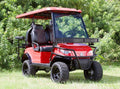 2016 Yamaha Drive Electric Golf Cart