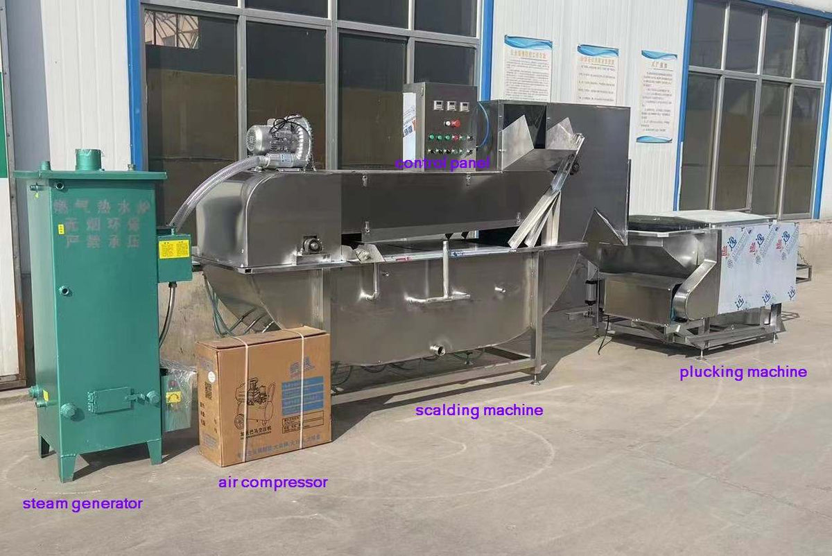 Commercial Automatic Chicken Scalding & Feather Plucking Machine with LPG Heating - Image 2