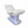 Electric Massage Table Bed