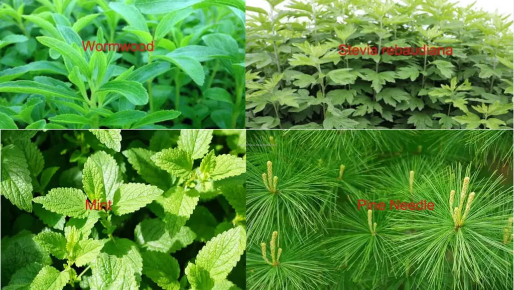 Herb Stem & Leaf Separator Machine - Image 5