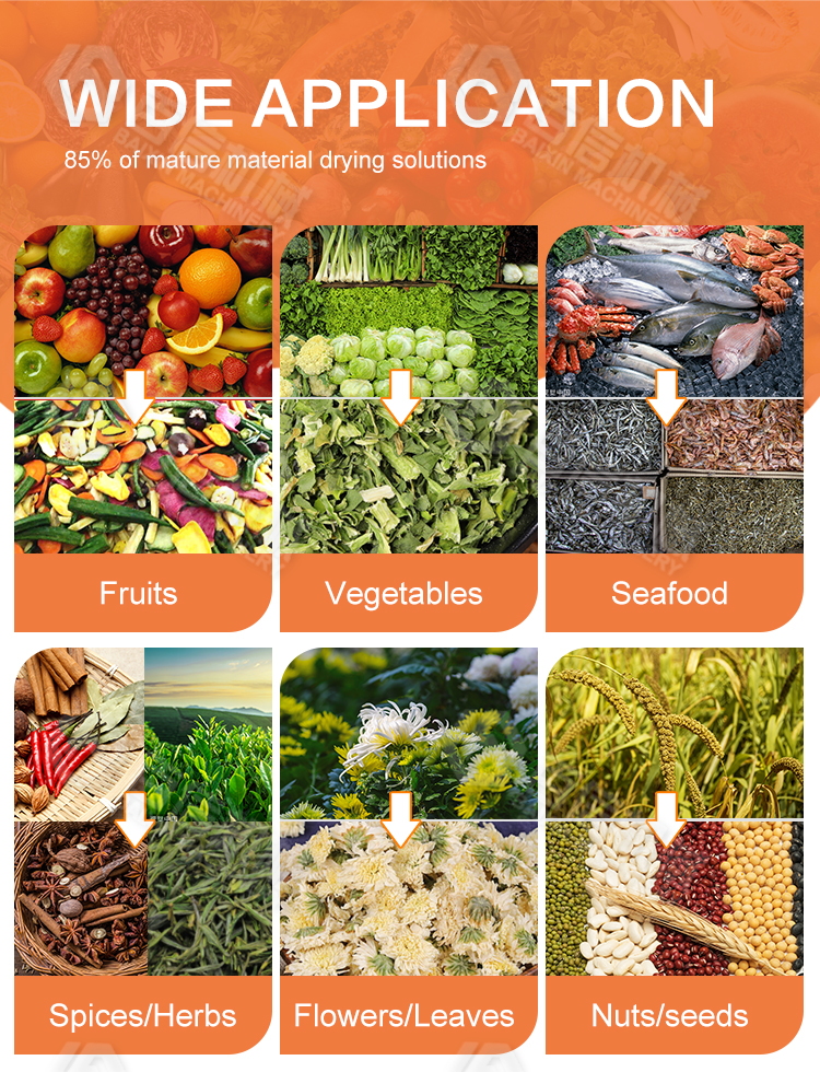 Industrial Food Dehydrator Drying Machine - Image 3