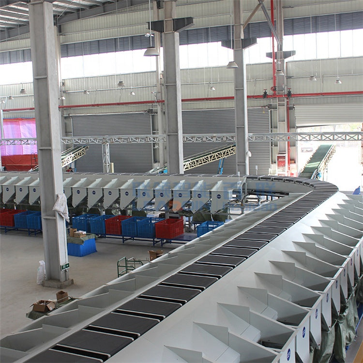 Automated Warehouse Sortation Conveyor System – Intelligent Logistics & Distribution Solution - Image 3