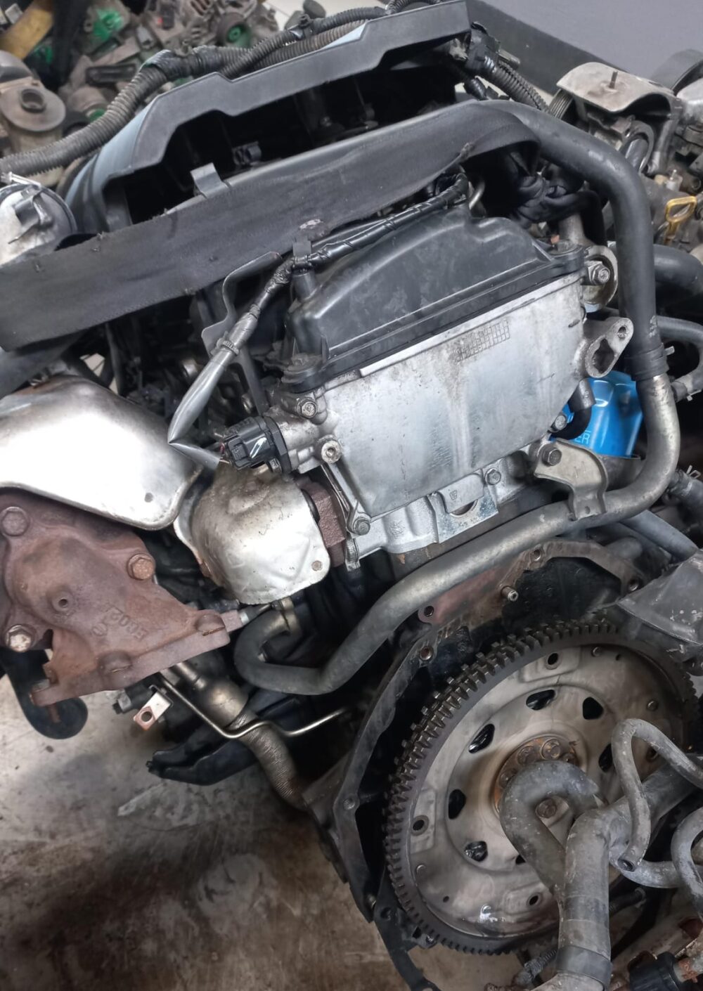 Nissan Navara 2.5 Cdi Diesel Engine (YD25) – Black Top - Image 2