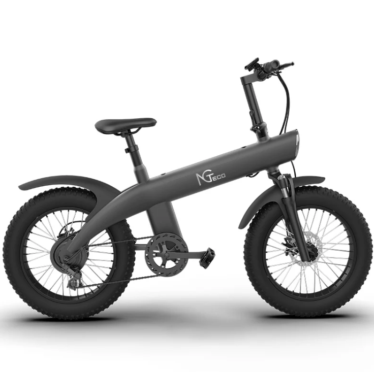 NGTeco Q1 Electric Bicycle Fat Tyre Bike 750W 20-inch