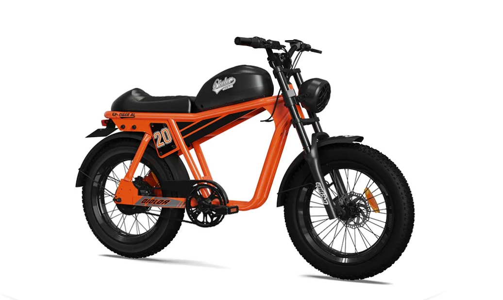 QIOLOR Tiger RL E-Bike