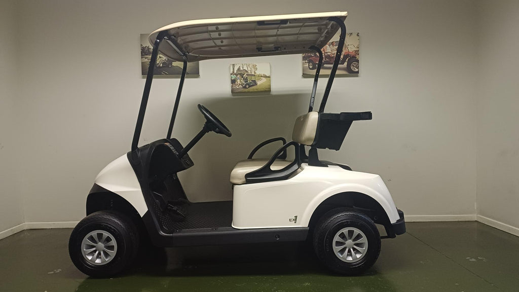 Demo RXV Fleet 2-Seater Petrol EX1 - Image 2