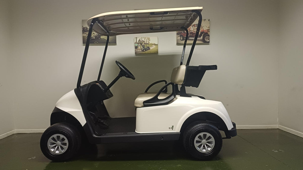 Demo RXV Fleet 2-Seater Petrol EX1 - Image 2