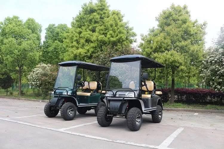 2010 EZ-GO Electric Golf Cart - Image 2