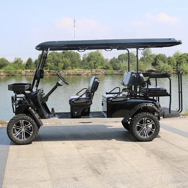5000W Custom 6-Passenger Hotel & Off-Road Golf Cart - Image 4