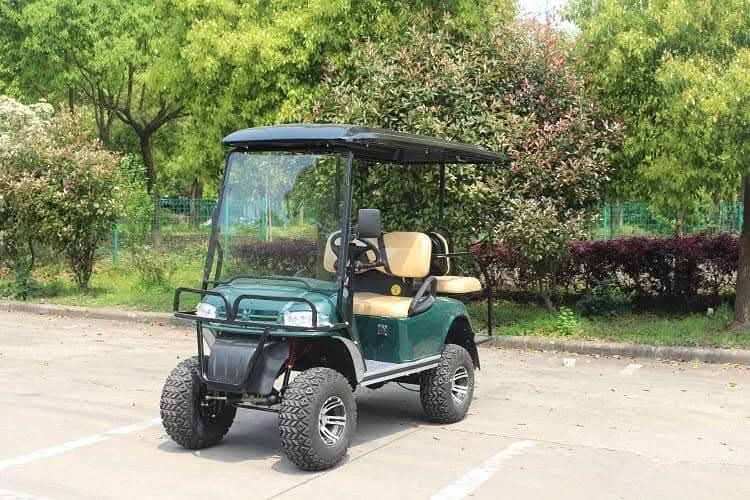 2010 EZ-GO Electric Golf Cart - Image 3