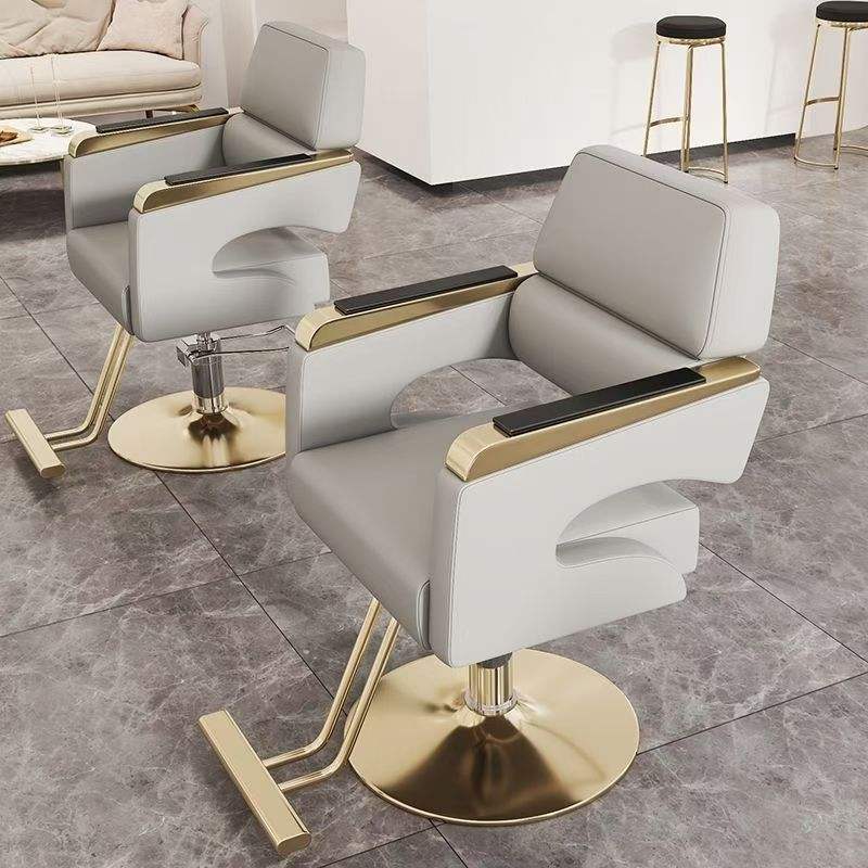 Modern Luxury Salon Wholesale Unique Styling Chairs All Purpose