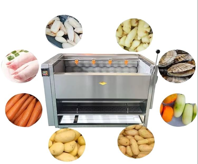 Brush Roller Vegetable Washing & Peeling Machine