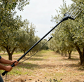 36V Portable Electric Olive Harvester with Telescopic Pole