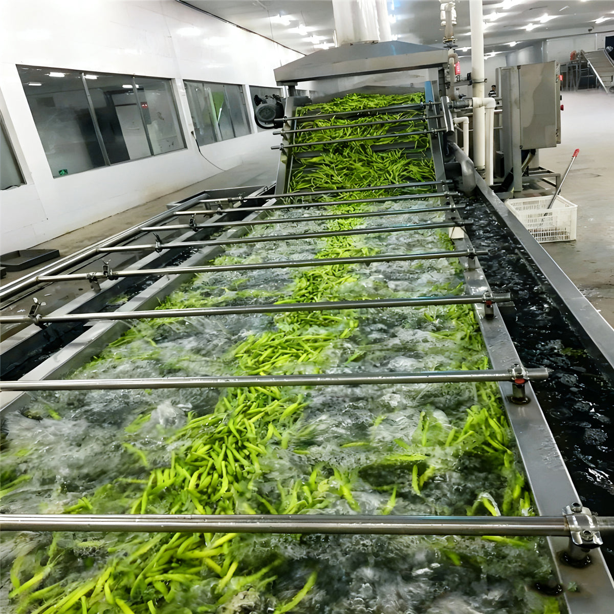 Automatic Ready-to-Eat Salad Washing, Cutting and Packing Production Line