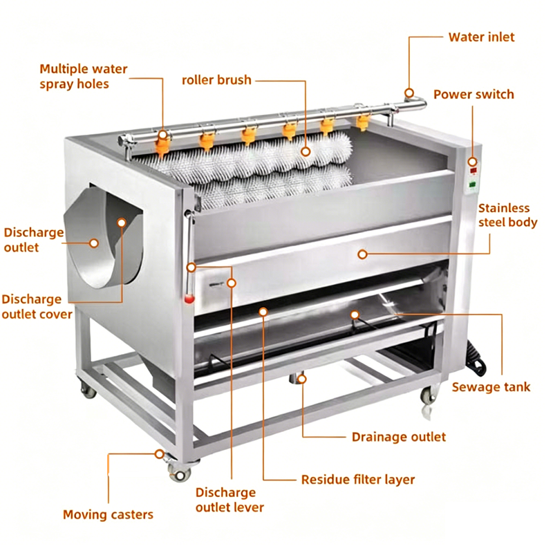 Brush Roller Vegetable Washing & Peeling Machine - Image 5