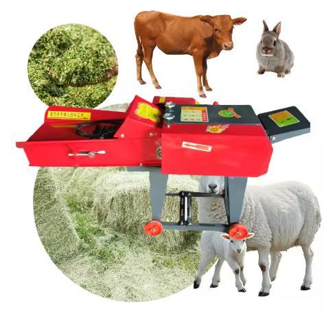 Electric Industrial Chaff Cutter – 3 to 8 Ton/Hour - Image 5
