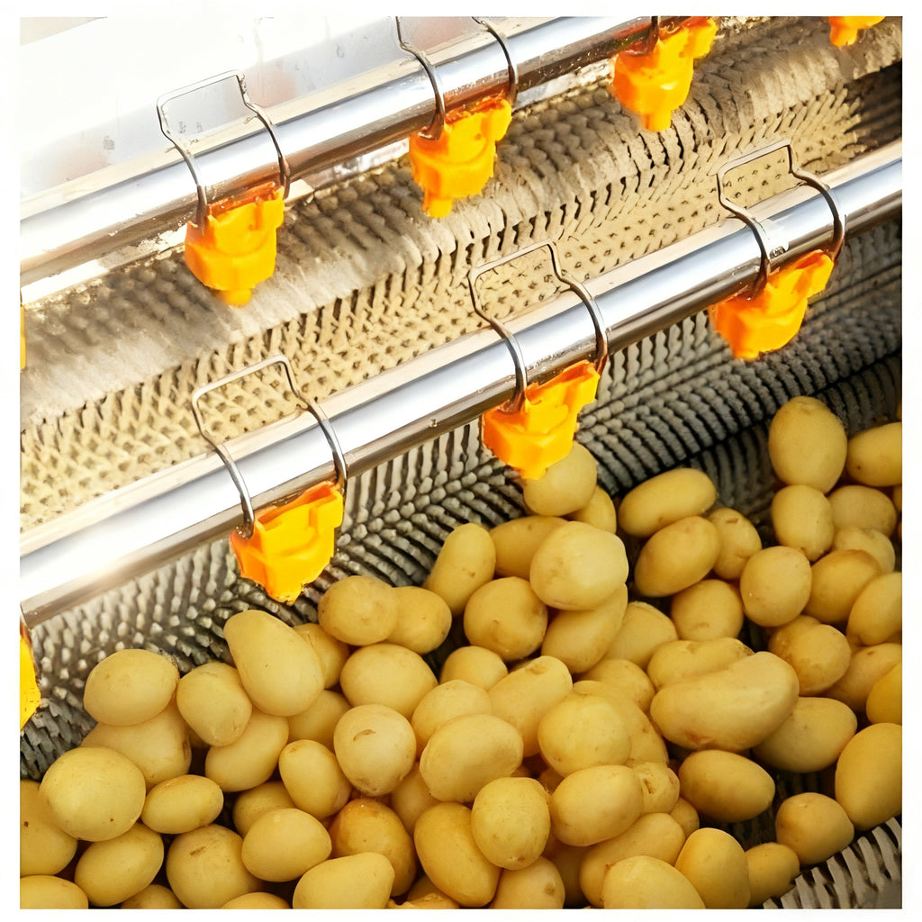 Automatic Ready-to-Eat Salad Washing, Cutting and Packing Production Line - Image 4
