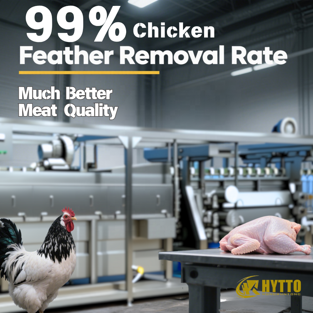 Automatic 1,000–2,000 BPH Halal-Compatible Poultry Slaughtering and Processing Line - Image 3