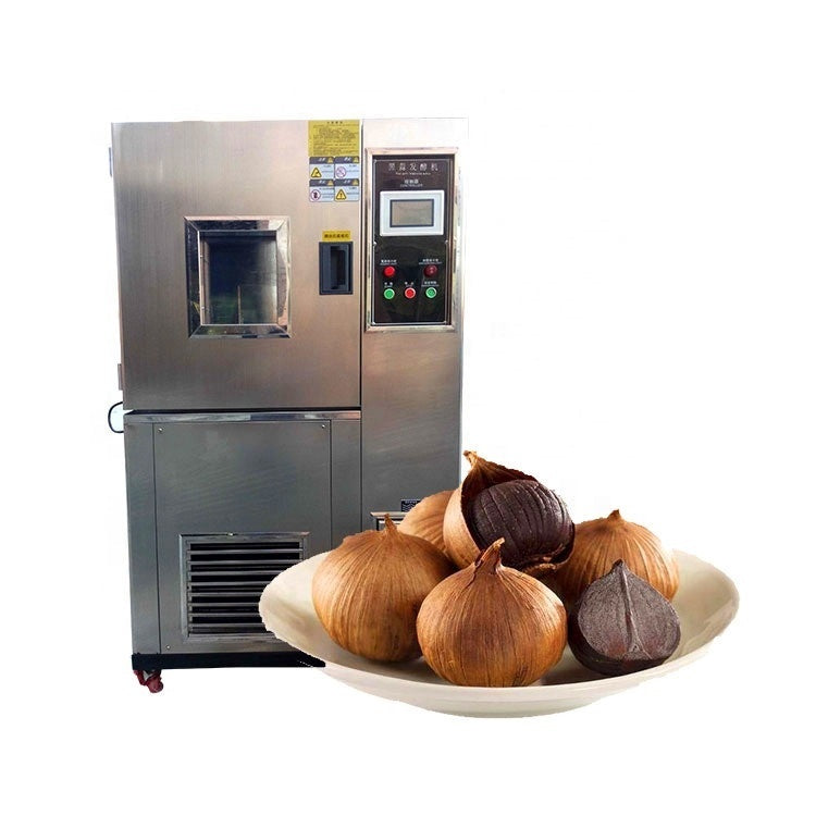 Automatic Commercial Black Garlic Fermentation and Aging Machine - Image 3