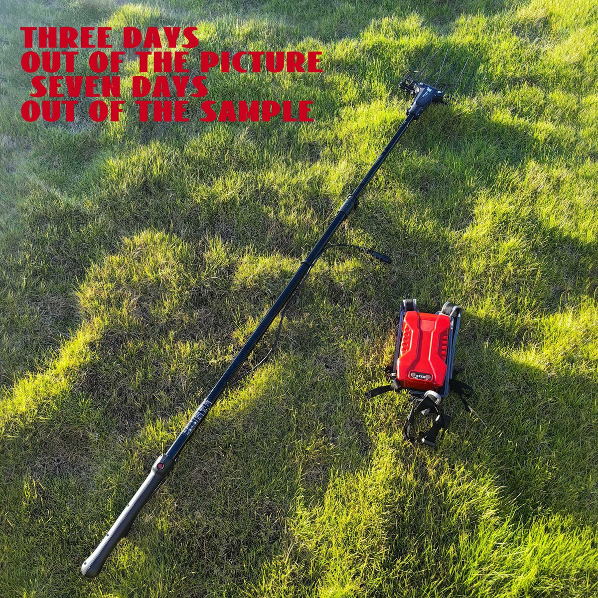 36V Portable Electric Olive Harvester with Telescopic Pole - Image 3
