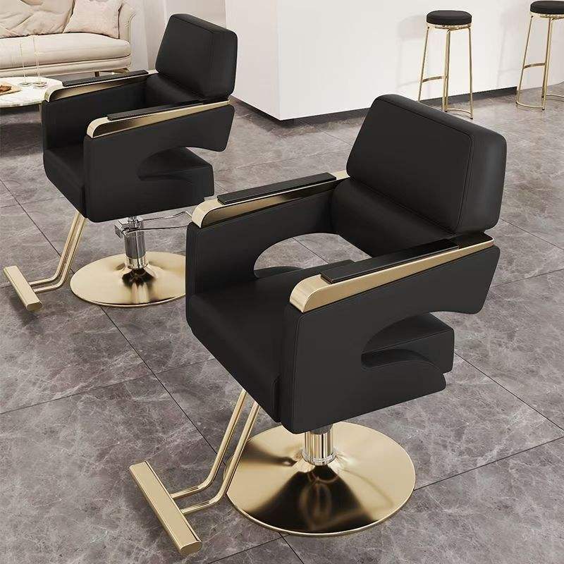 Modern Luxury Salon Wholesale Unique Styling Chairs All Purpose - Image 4