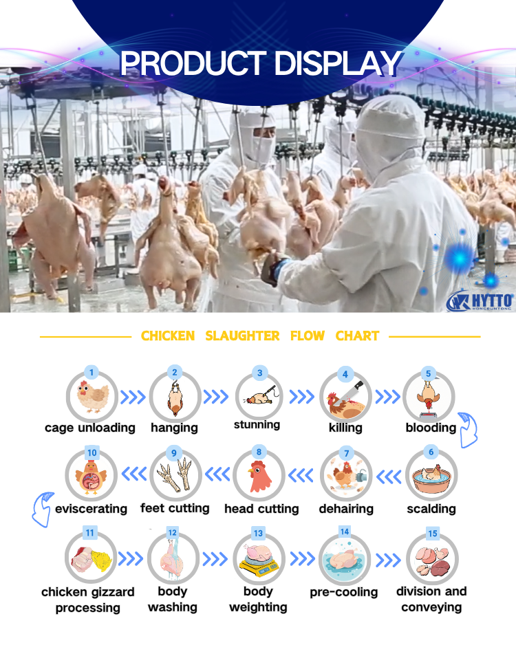 Automatic 1,000–2,000 BPH Halal-Compatible Poultry Slaughtering and Processing Line - Image 2