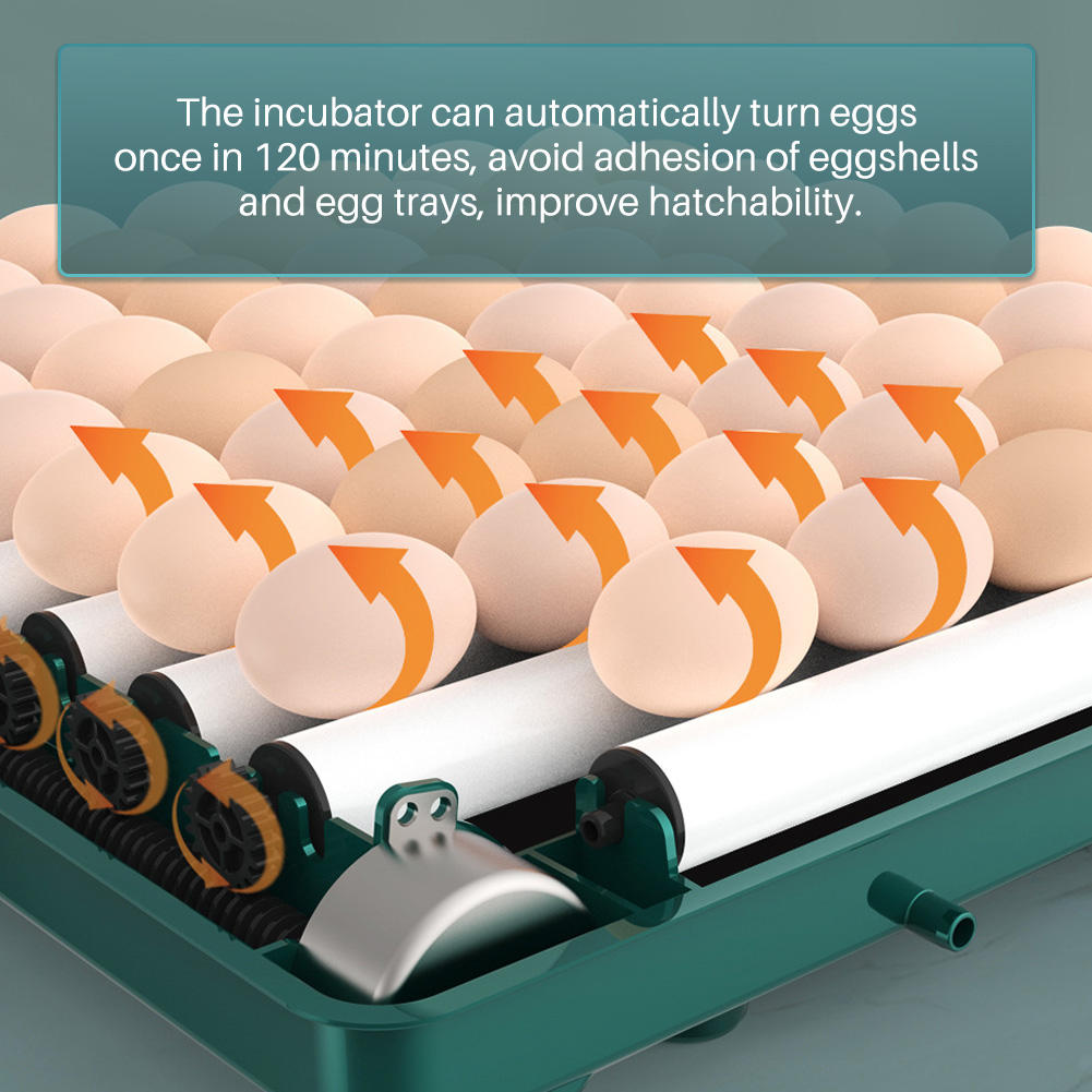 38 Eggs Incubator - image 4
