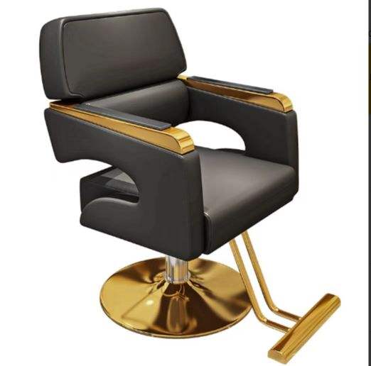 Modern Luxury Salon Wholesale Unique Styling Chairs All Purpose - Image 5