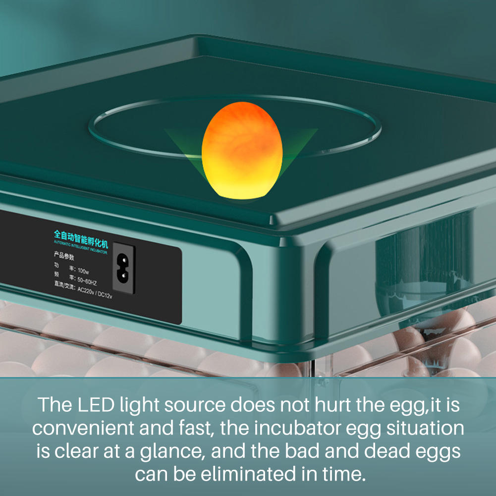 38 Eggs Incubator - image 5