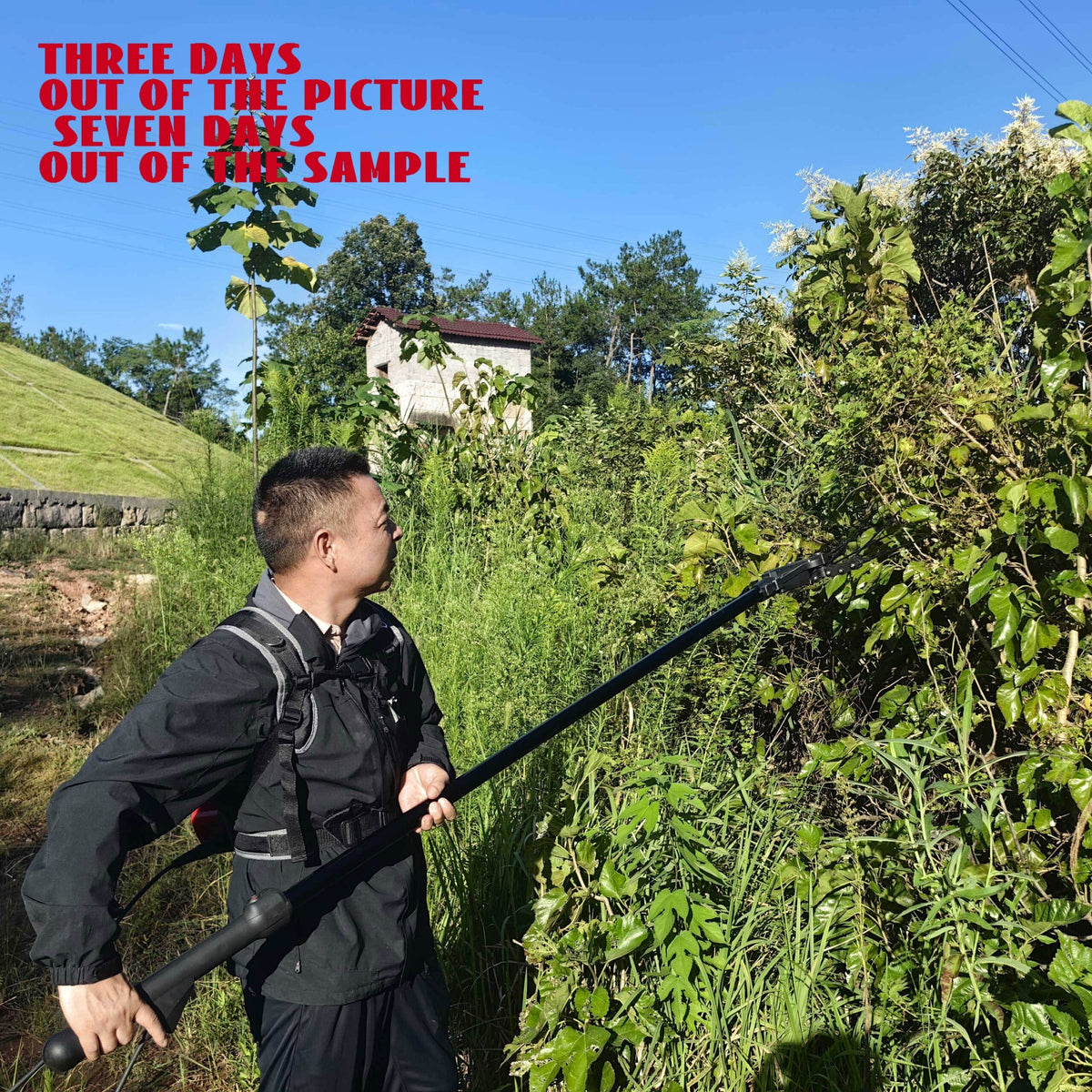 36V Portable Electric Olive Harvester with Telescopic Pole - Image 6