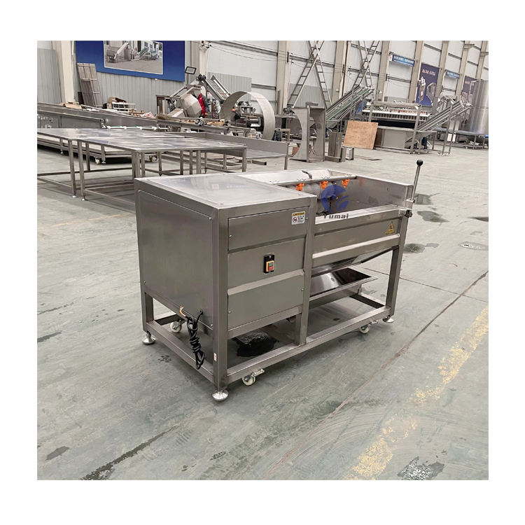 Industrial 400KG/H Fruit And Veg Washing Machine - Image 5