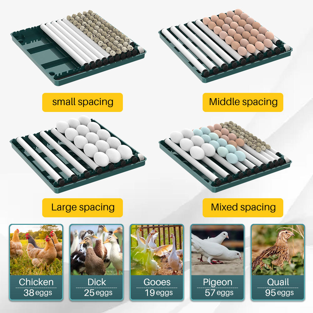 38 Eggs Incubator - image 6